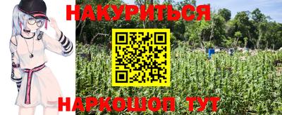 индика Апрелевка