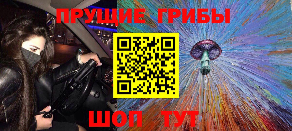 Псилоцибиновые грибы Psilocybine cubensis Мариинск