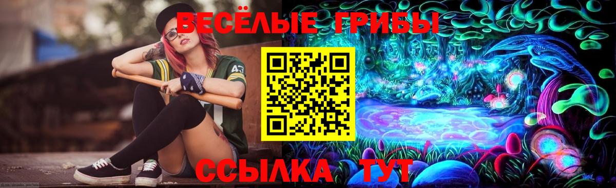 Галлюциногенные грибы прущие грибы  Галлюциногенные грибы Psilocybe  Мариинск  Вход с VPN 